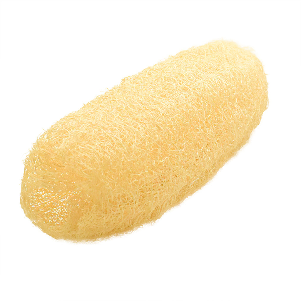 Esponja vegetal - Luffa