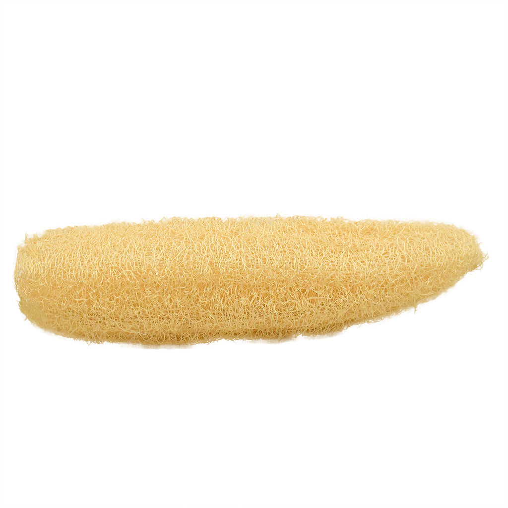 Esponja vegetal - Luffa