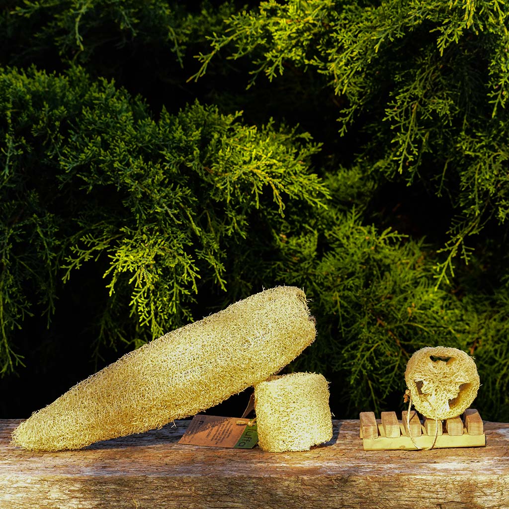 Esponja vegetal - Luffa