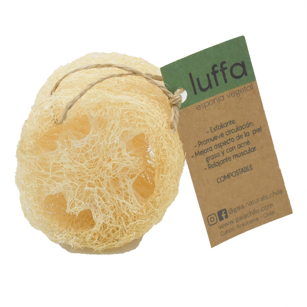 Esponja vegetal - Luffa